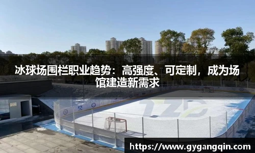 冰球场围栏职业趋势：高强度、可定制，成为场馆建造新需求